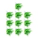 thumbnail image 1 of Wosthever 10 piezas de plantas falsas artificiales Camelia resistente a los rayos UV ramo de flores exteriores jardín Oficina balcón Decoración Blanco, 1 of 6