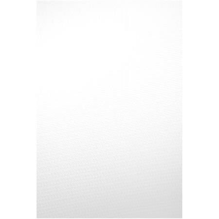 UPC: 0731409522250 | SAVAGE VINYL BACKGROUND PURE WHITE 5 x12