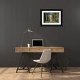 thumbnail image 3 of Van de Goor, Lars 14x11 Black Ornate Wood Framed with Double Matting Museum Art Print Titled - Acacias in Autumn, 3 of 4