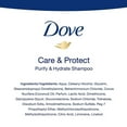 thumbnail image 4 of Dove Purify & Hydrate Shampoing, 4 of 8