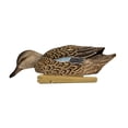 thumbnail image 3 of Avian X Topflight Blue-Winged Teal Duck, Realistic Duck Decoy, Set of 2, 3 of 4
