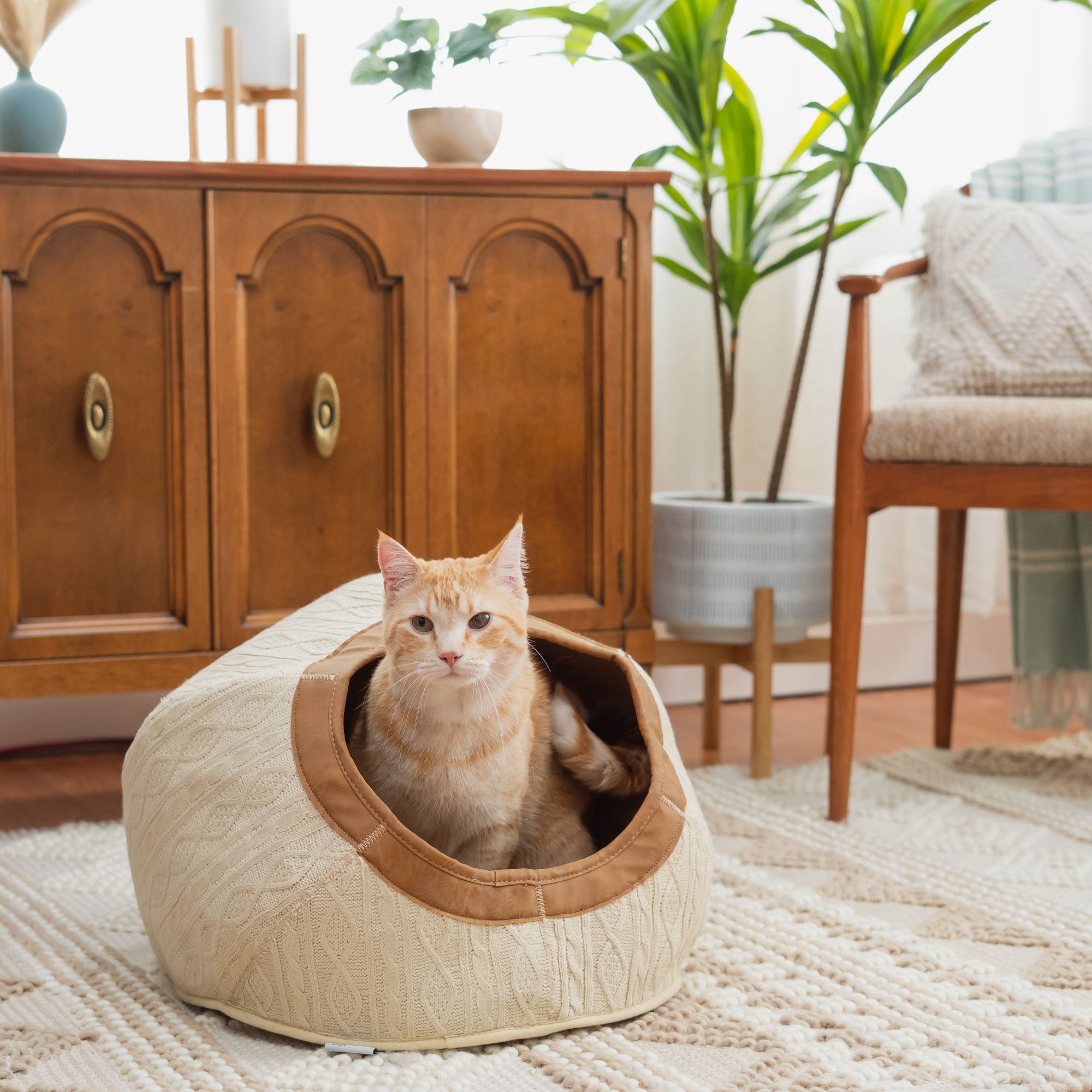 Kitty City Premium Cave Bed