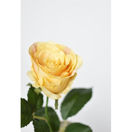 22" Faux Large Rose Bud Stem Yellow