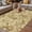 Yellow, variant on Light Blue Teal Outdoor Rug for Patio/Deck/Porch, Non-Slip Large Area Rug 5 x 8 Ft, Retro Botanical Abstract Art Indoor Outdoor Rugs Washable Area Rugs, Reversible Camping Rug Carpet Runner