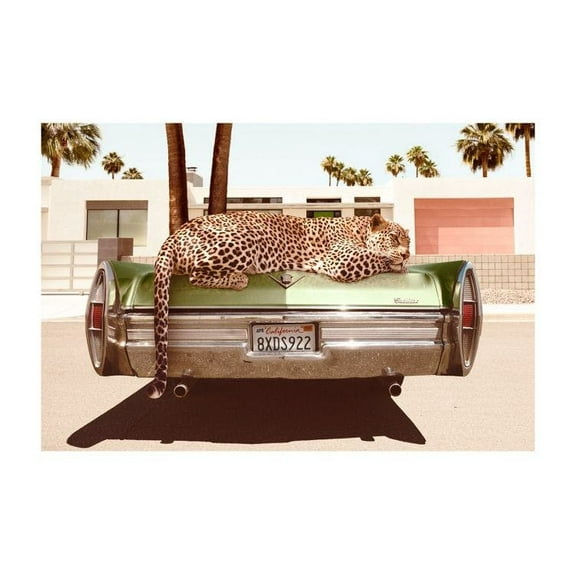 Chilling Leopard Print Wall Art, Modern Wall Decor For Living Room Bedroom, 8x12 UNFRAMED