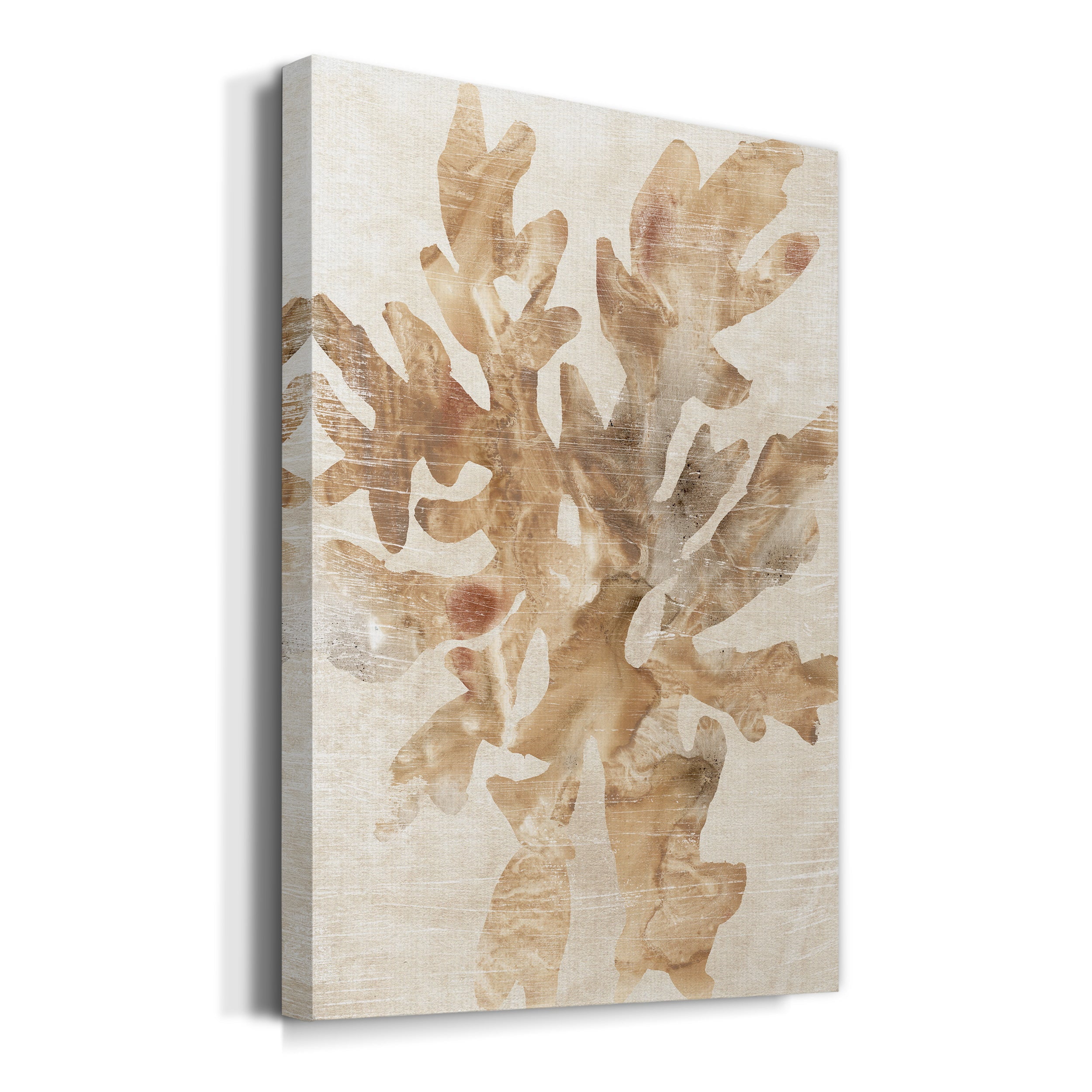 Parchment Coral IV Premium Gallery Wrapped Canvas - Ready to Hang