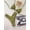 Olive Green, variant on 2pcs Summer Holiday Halter Neck Triangle Bikini Set with Metallic Golden Shell Decor