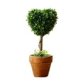 thumbnail image 2 of 8IN Artificial Boxwood Topiary Small with Pot, Mini Greenery Tabletop, Shelf Decorations, for Indoor & Home Decor (2PCS, Heart), 2 of 5