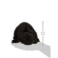 thumbnail image 3 of Folkmanis Beaver Puppet, 3 of 3