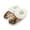 Brown Horse, variant on Pink Horse Floral Print House Slippers for Woman Fluffy Plush Indoor Slippers for Women Slip On Bedroom Shoes with Fleece Lined, Size 7-8