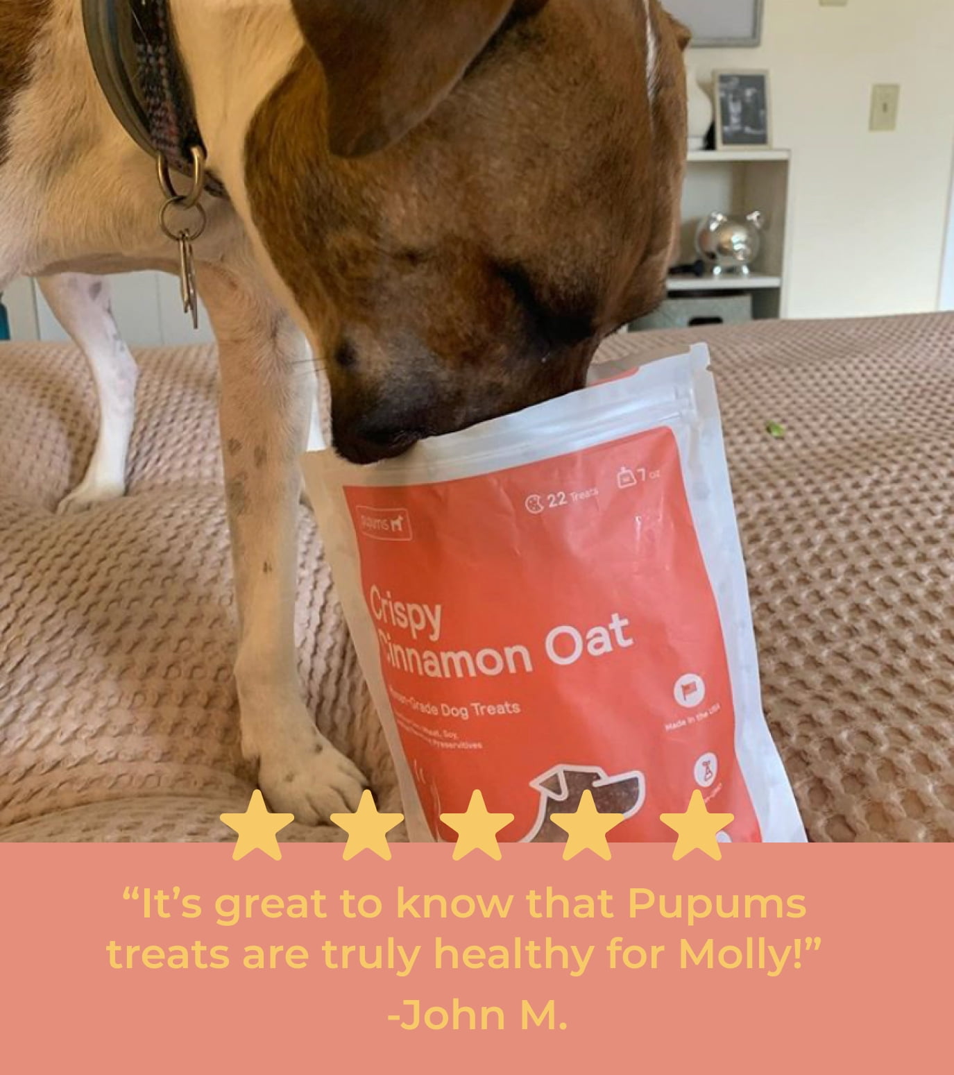 Pupums Healthy Dog Treats | All Natural Dog Biscuits with 100% Human Grade and Non-GMO Ingredients | Made in The USA | Handcrafted | Made For All Dog Sizes and Ages | Various Flavors