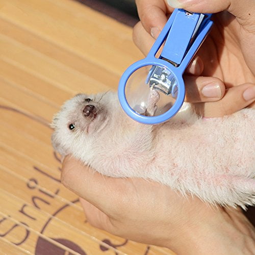 Frjjthchy Pet Hamster Hedgehog Nail Clipper Trimmer Small Animal