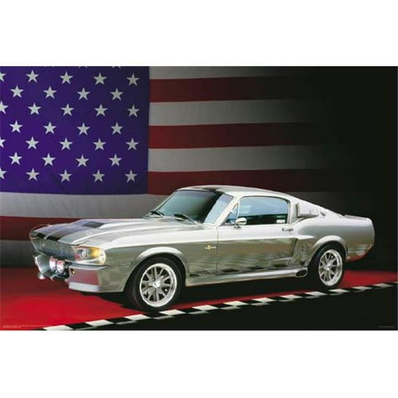 24''x 36'' Shelby Poster for Artist Posters