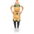 thumbnail image 2 of Carolines Treasures SS8746APRON Pomeranian Apron - 27 x 31 in., 2 of 4