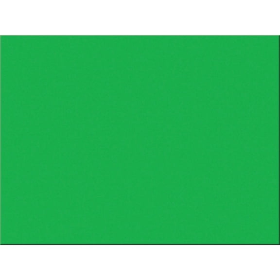 Tru-Ray Construction Paper - 24"Width x 18"Length - 76 lb Basis Weight - 50 / Pack - Festive Green - Sulphite