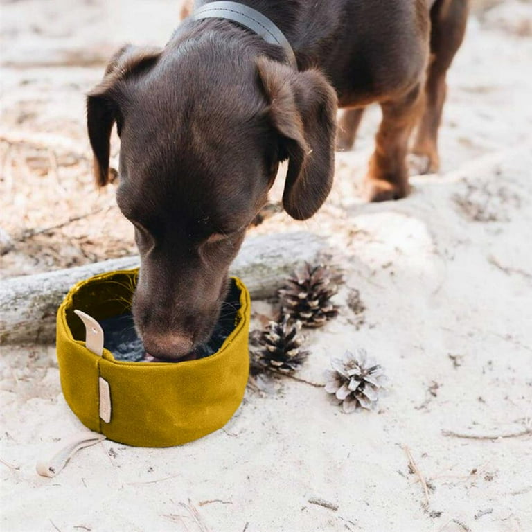 Canvas dog water on sale bowl