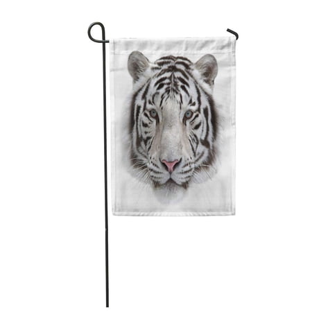 SIDONKU Face of a White Bengal Tiger Isolated on Background Mask Garden Flag Decorative Flag House Banner 12x18 inch