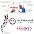 thumbnail image 4 of Bravecto Pastillas Antipulgas Antigarrapatas 500 Mg 10-20Kg Bravecto BRM001, 4 of 4