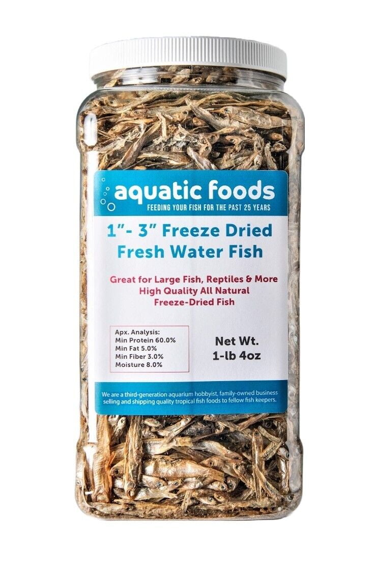 1" 3" Fresh Water Freeze Dried Fish for Piranha, Large Fish, Turtles