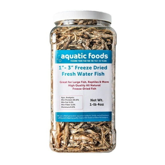 1"- 3" Fresh Water Freeze Dried Fish for Piranha, Large Fish, Turtles, Cats, Sugar Glider, Marmosets, Chinchillas, Squirrels, Hamsters…1-lb & 4oz Lg Jar