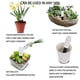 thumbnail image 3 of Monitor de planta, medidor inteligente de humedad del suelo, probador de agua para plantas, Sensor d Abanopi Medidor de humedad, 3 of 5