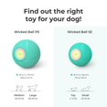 thumbnail image 3 of Juguete interactivo para perros Hoochii Wicked Ball PE para perros medianos y grandes, 3 of 7