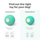 thumbnail image 3 of Juguete interactivo para perros Hoochii Wicked Ball PE para perros medianos y grandes, 3 of 7