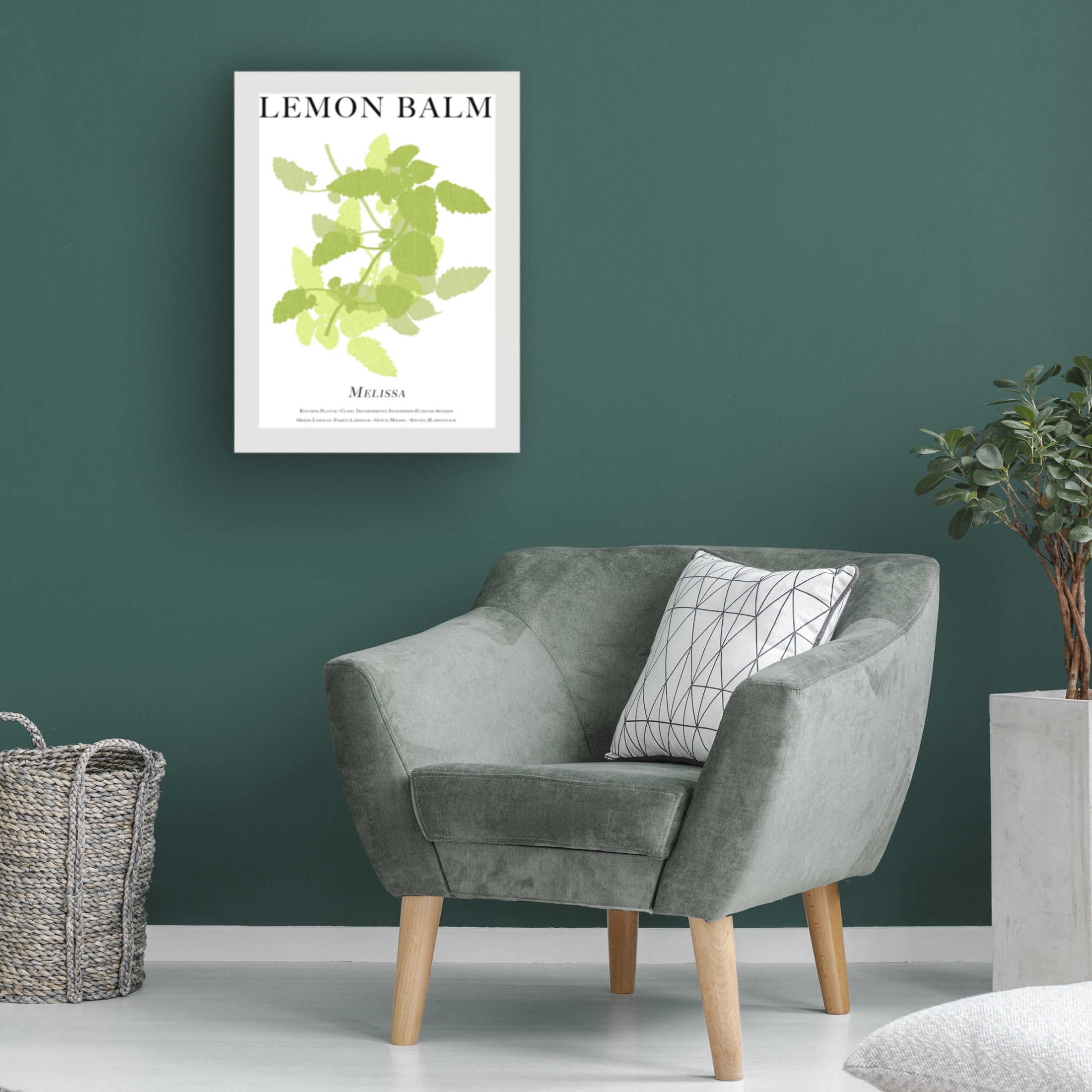 Trademark Fine Art Cartissi   Lemon Balm Canvas Wall Art