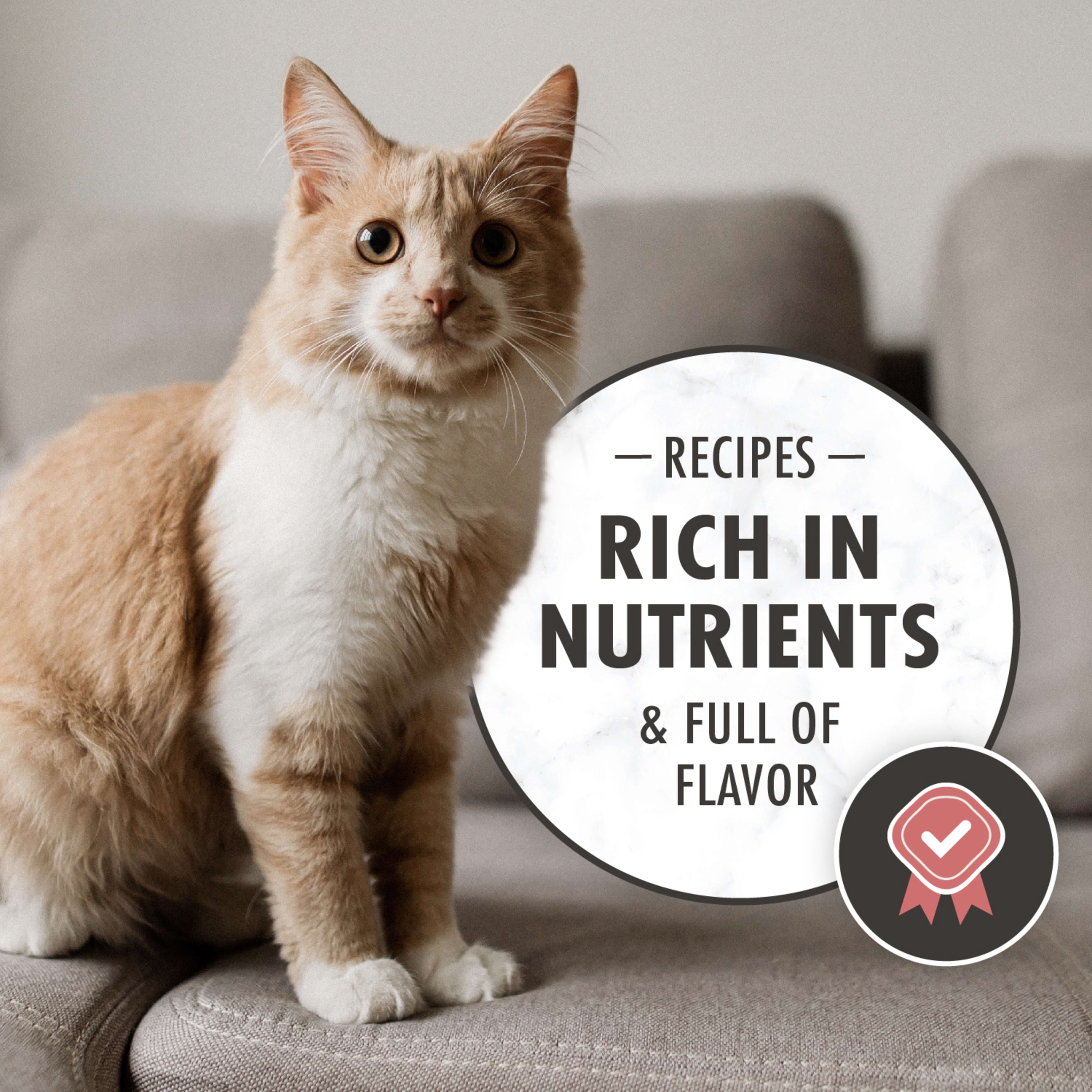 Nutro Wholesome Essentials Natural Salmon Brown Rice Dry Cat Food For Adult Cat 3 Lb. Bag Walmart