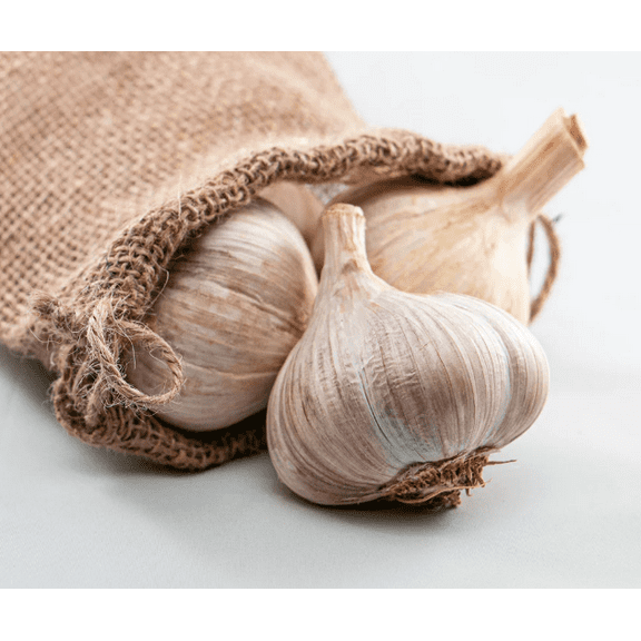 4 Bulbs Music Garlic for Planting, Heirloom Garlic Bulbs for Planting Home Vegetable Garden