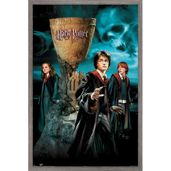 Harry Potter and the Goblet of Fire - Group Wall Poster, 14.725" x 22.375", Framed