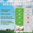 thumbnail image 5 of ECO GARDEN PRO - Organic Vinegar Weed Killer | Kid Safe Pet Safe | Clover Killer For Lawns | Moss Killer | Green Grass & Poison Ivy Killer | Spray Ready Glyphosate FREE Herbicide (1 Gallon), 5 of 6