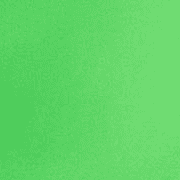 X- Green Lawn