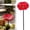 Red, variant on Clearance Metal Flower Garden Stakes Bird Bath for Outside Clearance – Mini Bird Bath and Bee Watering Station Ground Level Bird Bath for Yard,Garden,Home Decor(Orange)