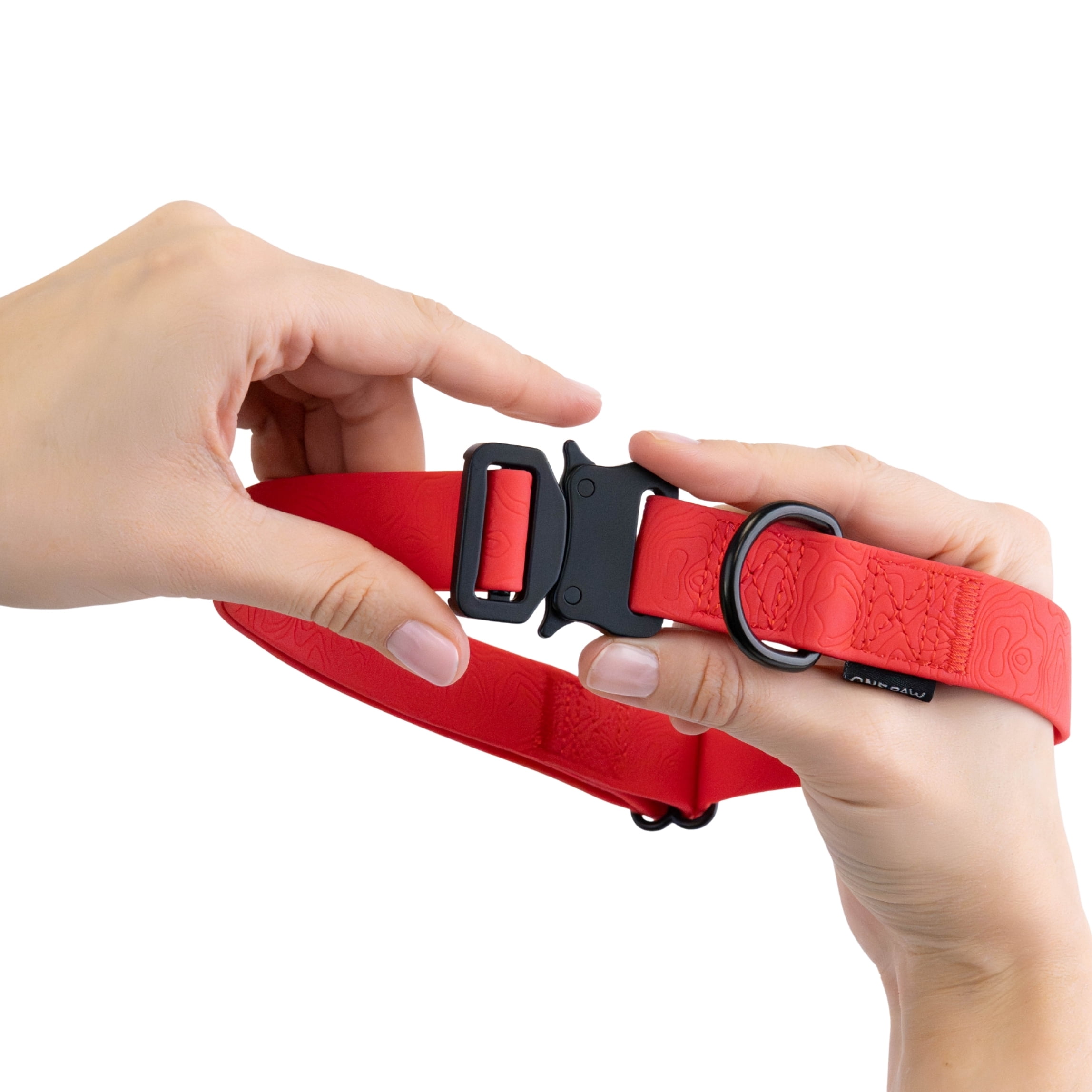 One Paw, Silicone Dog Collar with Metal Buckle, Water Repellent, Multiple Sizes
