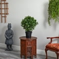thumbnail image 3 of Nearly Natural 28in. Peperomia Plant UV Resistant (Indoor/Outdoor), 3 of 5