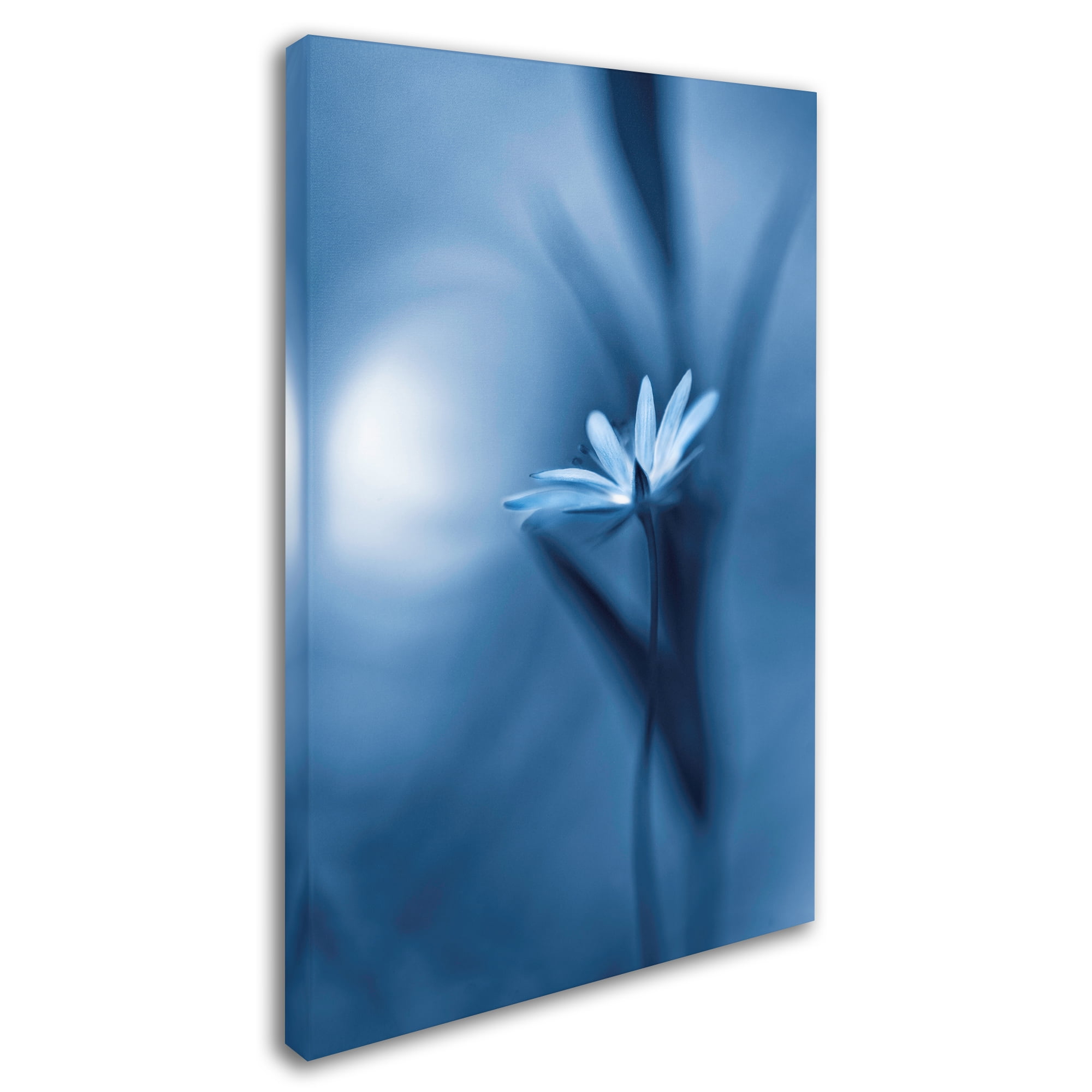 Trademark Fine Art 'For Elise' Canvas Art by Bee Thalin