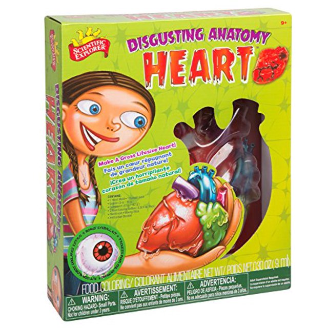 Explorador científico Anatomía repugnante Corazón Scientific Explorer 781968002335