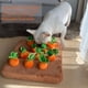 thumbnail image 3 of Juguete de inteligencia para perros Juguete interactivo Zanahoria de peluche, 3 of 6