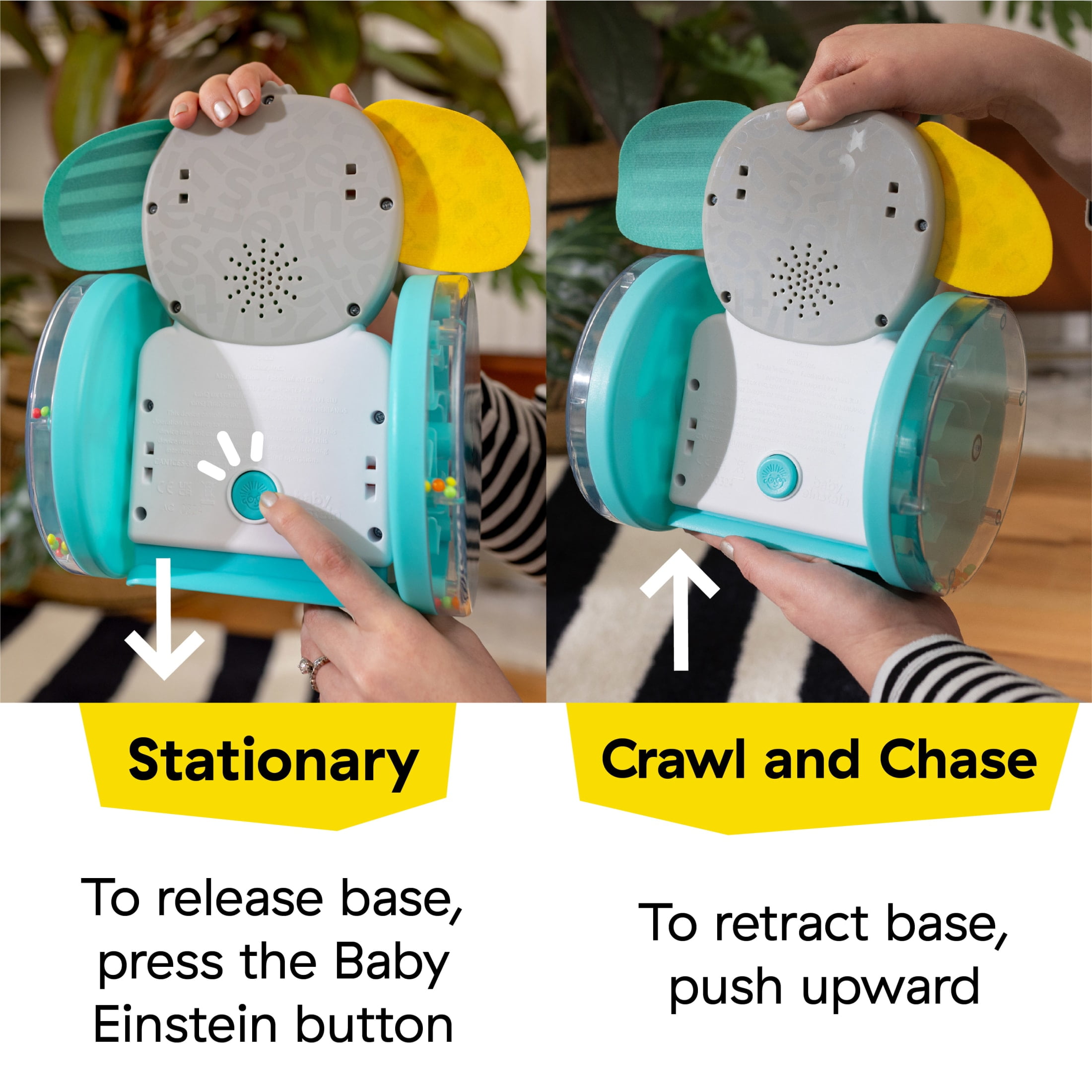 Baby Einstein Chase & Tap Earl Crawling Baby Toy, with Mirror and Music, Infants, Ages 6+ Months