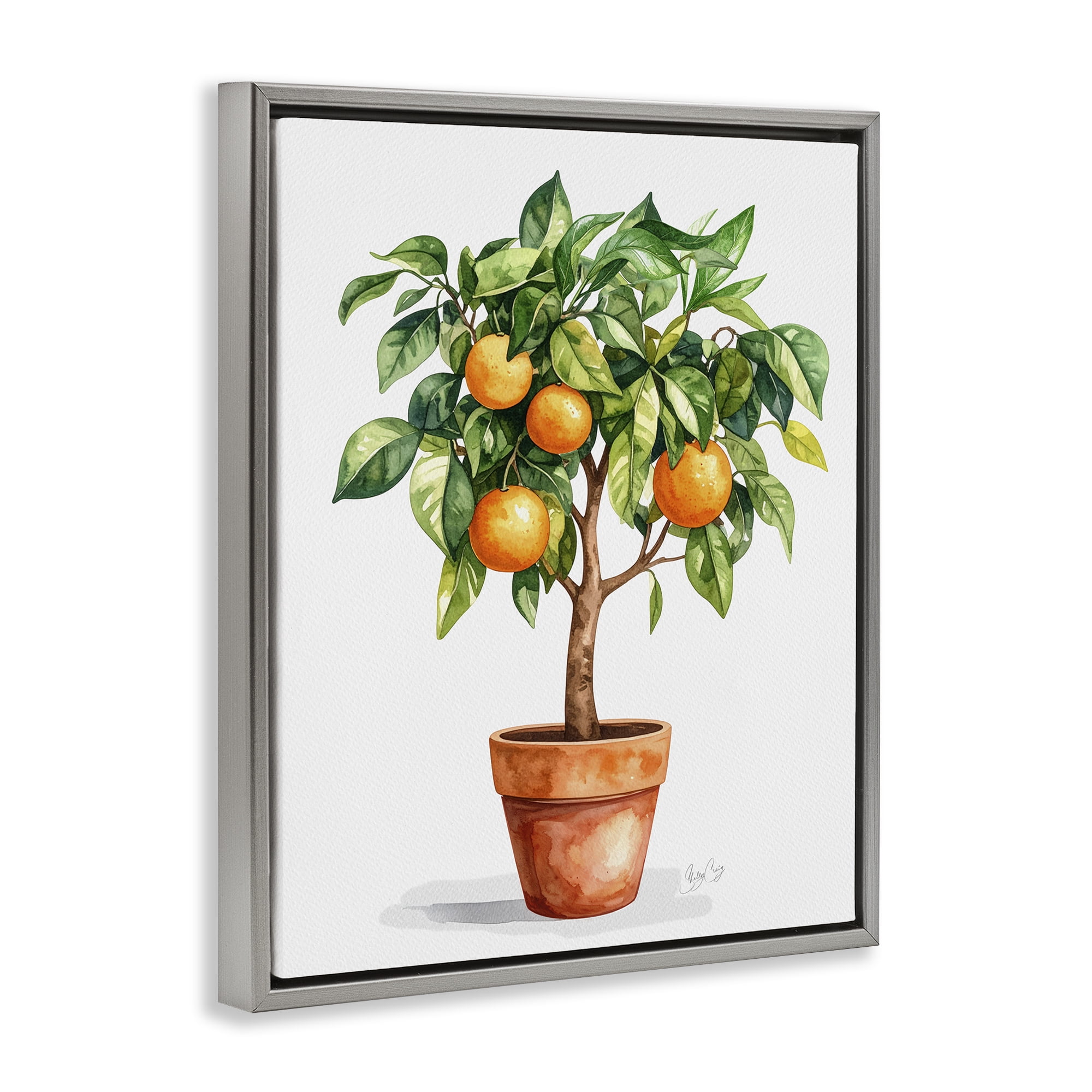 Stupell Industries Potted Orange Tree Gray Framed Floater Canvas Wall Art, design by Shelly Craig
