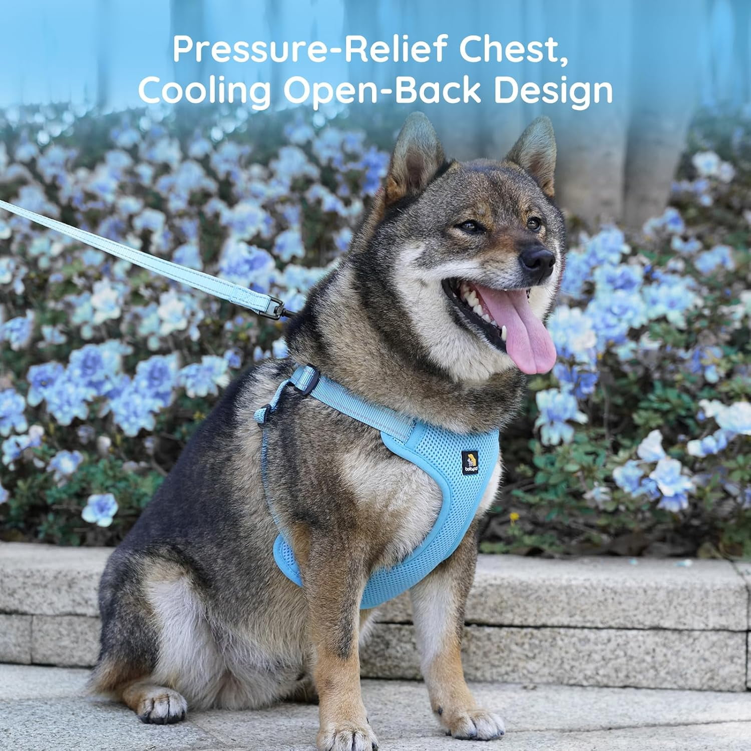 BELLA & PAL Dog Harness for Medium Dogs, Adjustable Reflective No Pull Step-in Dog Vest, Breathable Soft Mesh Harness and Leash Set for Small Medium Dogs, Sky Blue, L