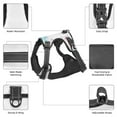 thumbnail image 6 of Bingfone Cute Elephant No Pull Dog Vest Harness For Small Medium Large Dogs Strap For Puppy Walking,Training,Dog Harness-Large, 6 of 9