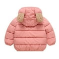 thumbnail image 4 of Toddler Girls Winter Coats Puffer Jacket Full-Zip Long Sleeve Thicken Windproof Down Jacket Warm Bear Hooded Outdoor Coats Baby Boy Jacket 3-4 Years, 4 of 5