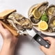 thumbnail image 4 of Kearding Shucker de ostras de madera de operación rápida y fácil de 2 piezas para una funcionalidad confiable y seguridad mejorada Mostrada, 4 of 6