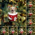 thumbnail image 2 of 985 Colgante de perro para árbol de Navidad, decoración para perros, colgante de acrílico, decoración, 2 of 6