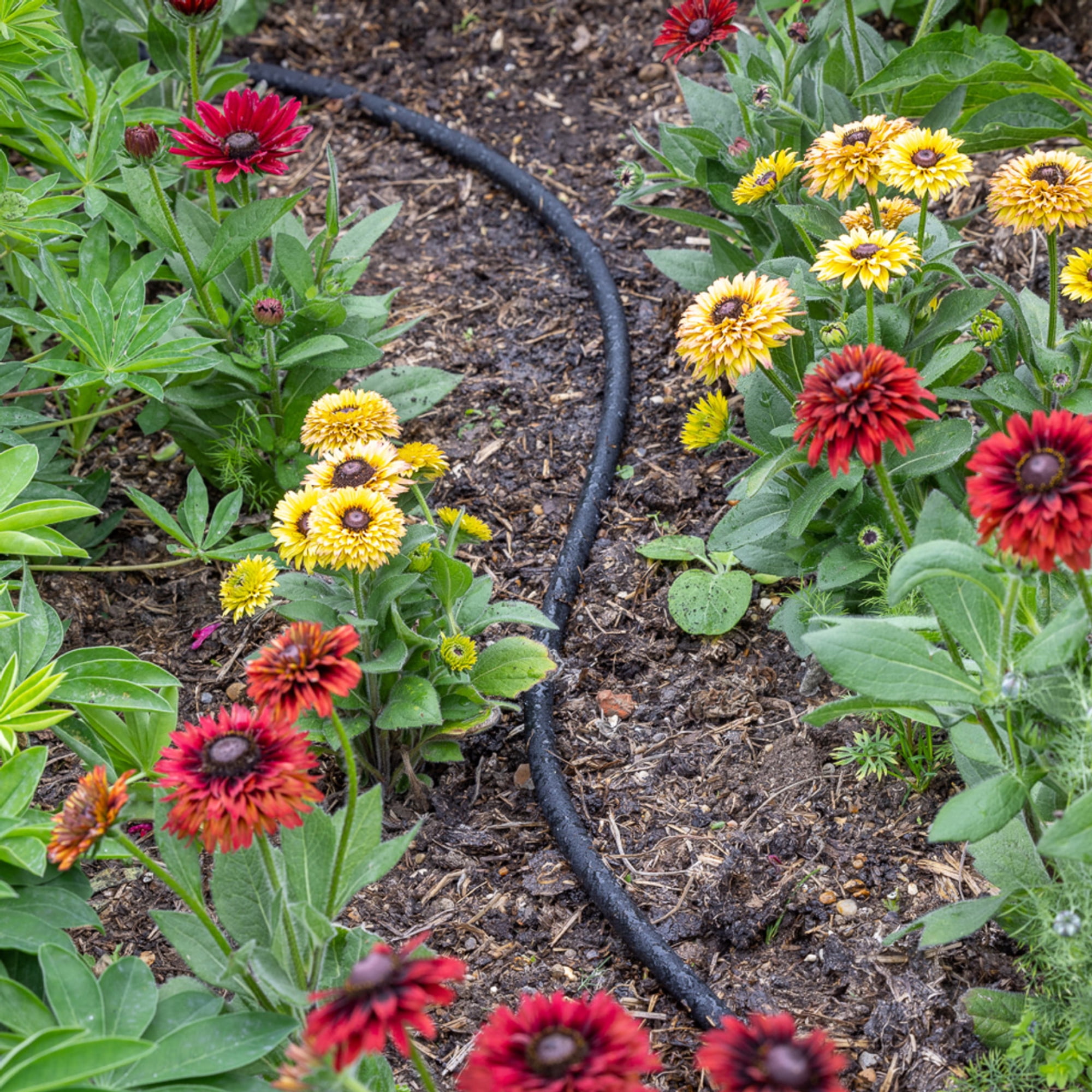 STYDDI Soaker Hose, 1/2" x 50ft Round Soaker Garden Hose, Heavy Duty Water Seeper Hose Great for Garden Vegetable Beds, Lawn and Plants