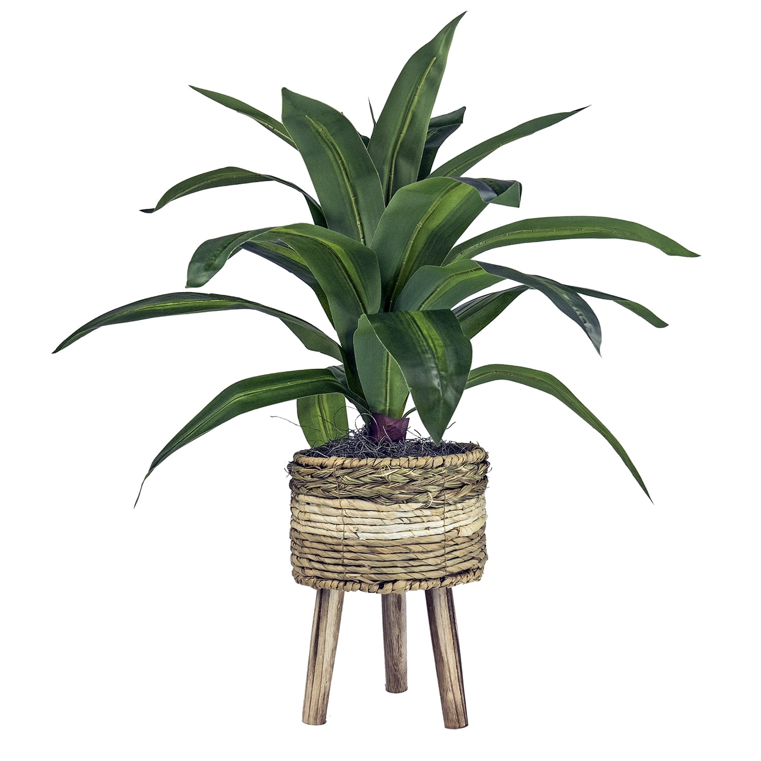 LCG Florals Artificial Plant, Dracaena Plant, 2 ft, Multi-Color Tripod Basket Stand, Faux Designer Indoor Plant for Living Room, Office, & Home Décor