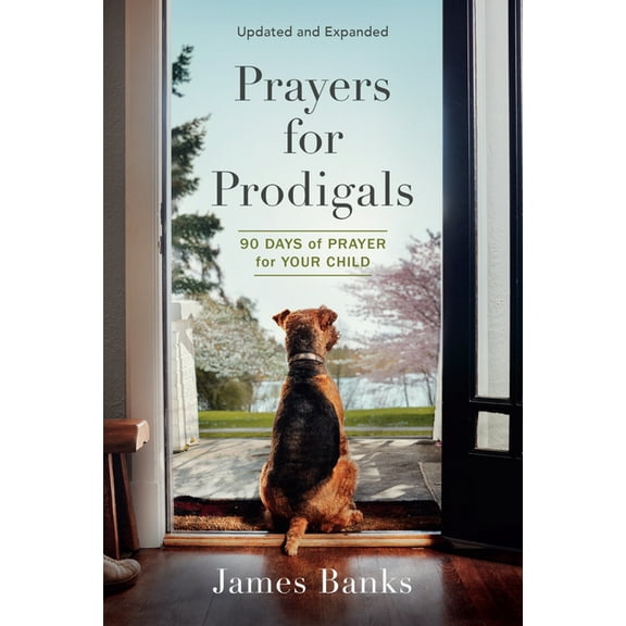 Prayers for Prodigals : 90 Days of Prayer for Your Child (a Daily Devotional for Parents with Bible Readings and Meditations for Moms and Dads) (Paperback)