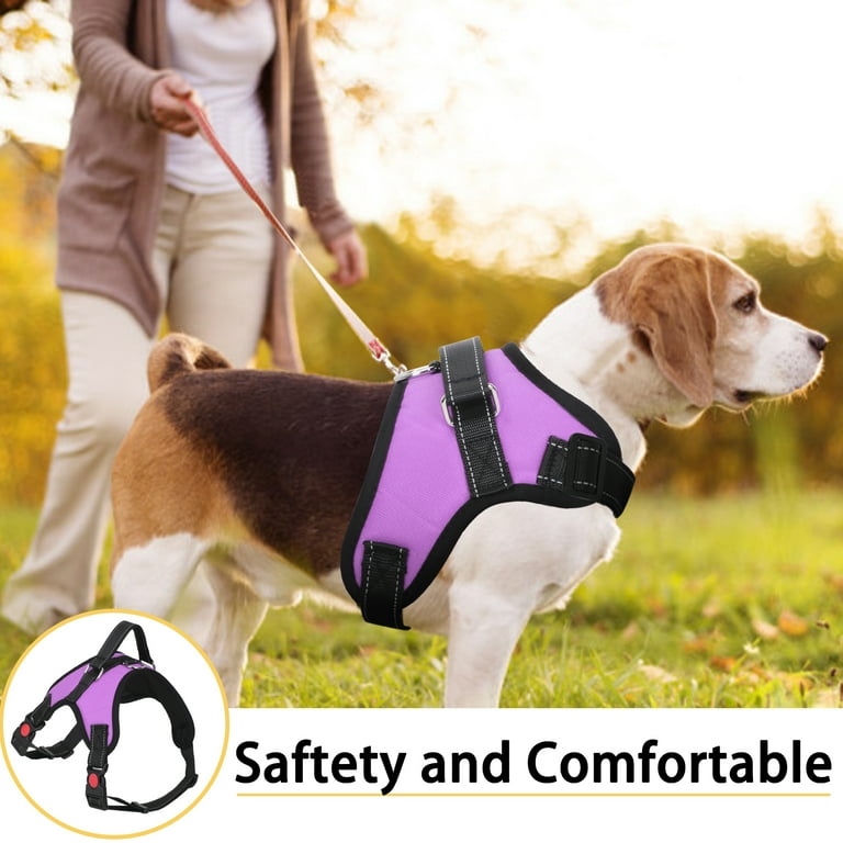 Bolux dog cheap leash